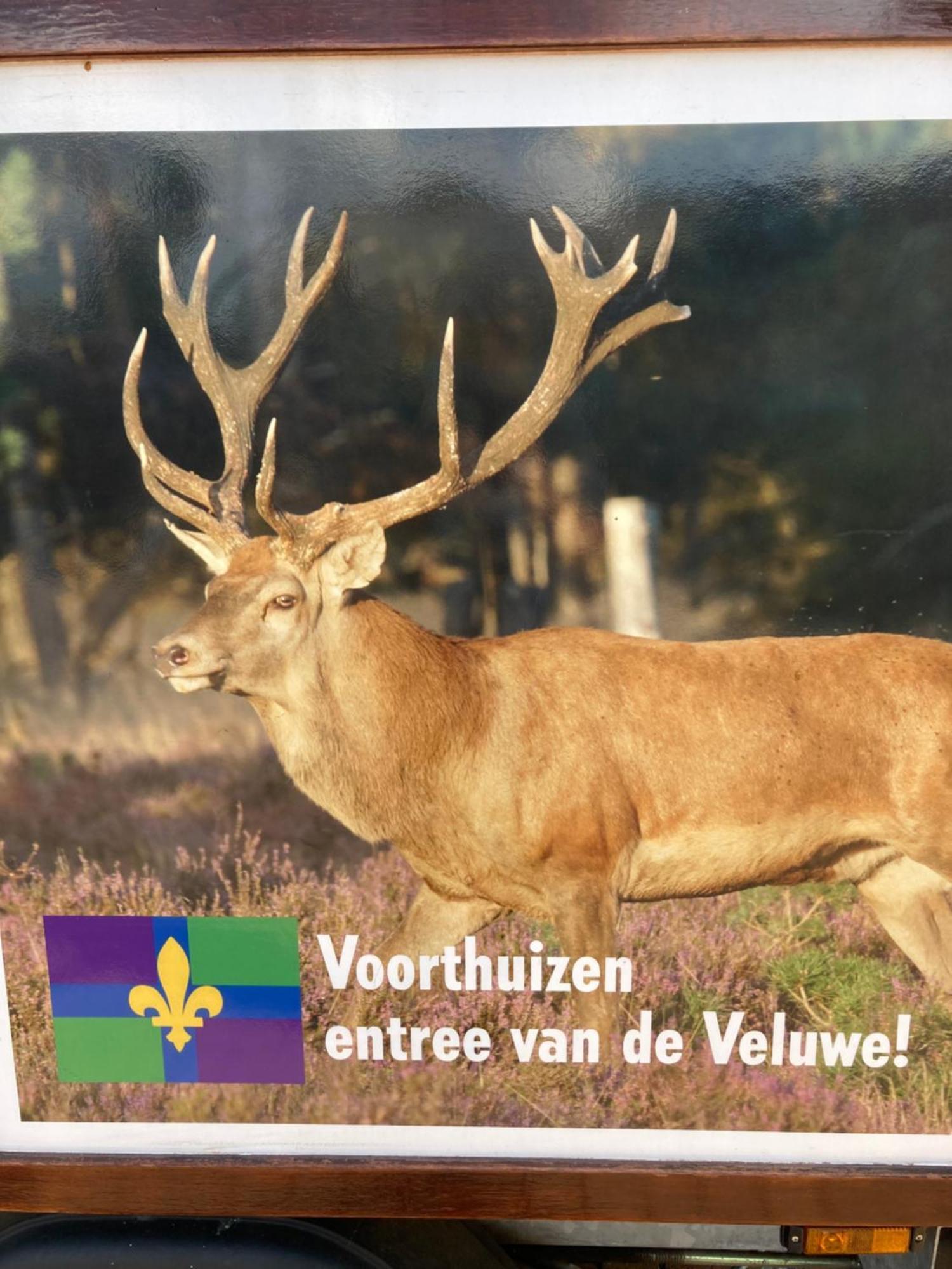 Bed & Breakfast Hoeve Happiness - Ontbijt Inbegrepen - Wellness Aanwezig Voorthuizen Exterior foto
