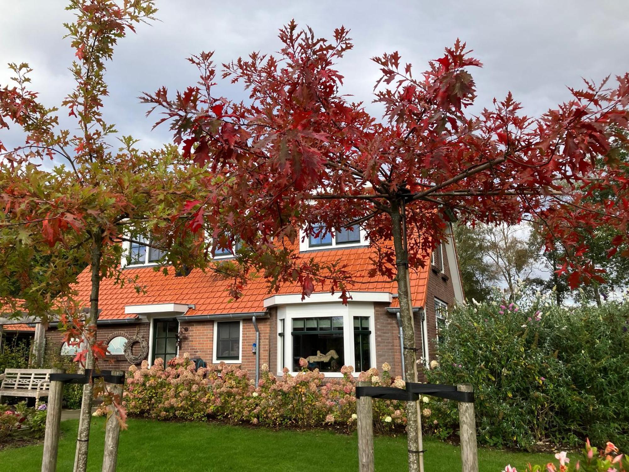 Bed & Breakfast Hoeve Happiness - Ontbijt Inbegrepen - Wellness Aanwezig Voorthuizen Exterior foto